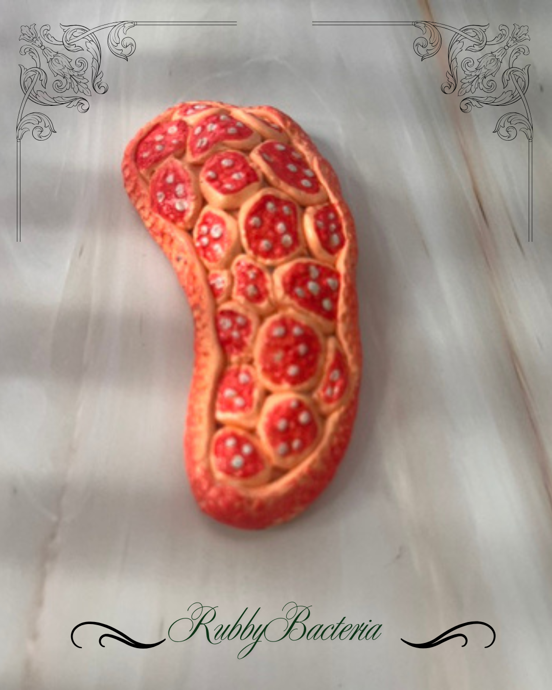 Ruby Bacteria